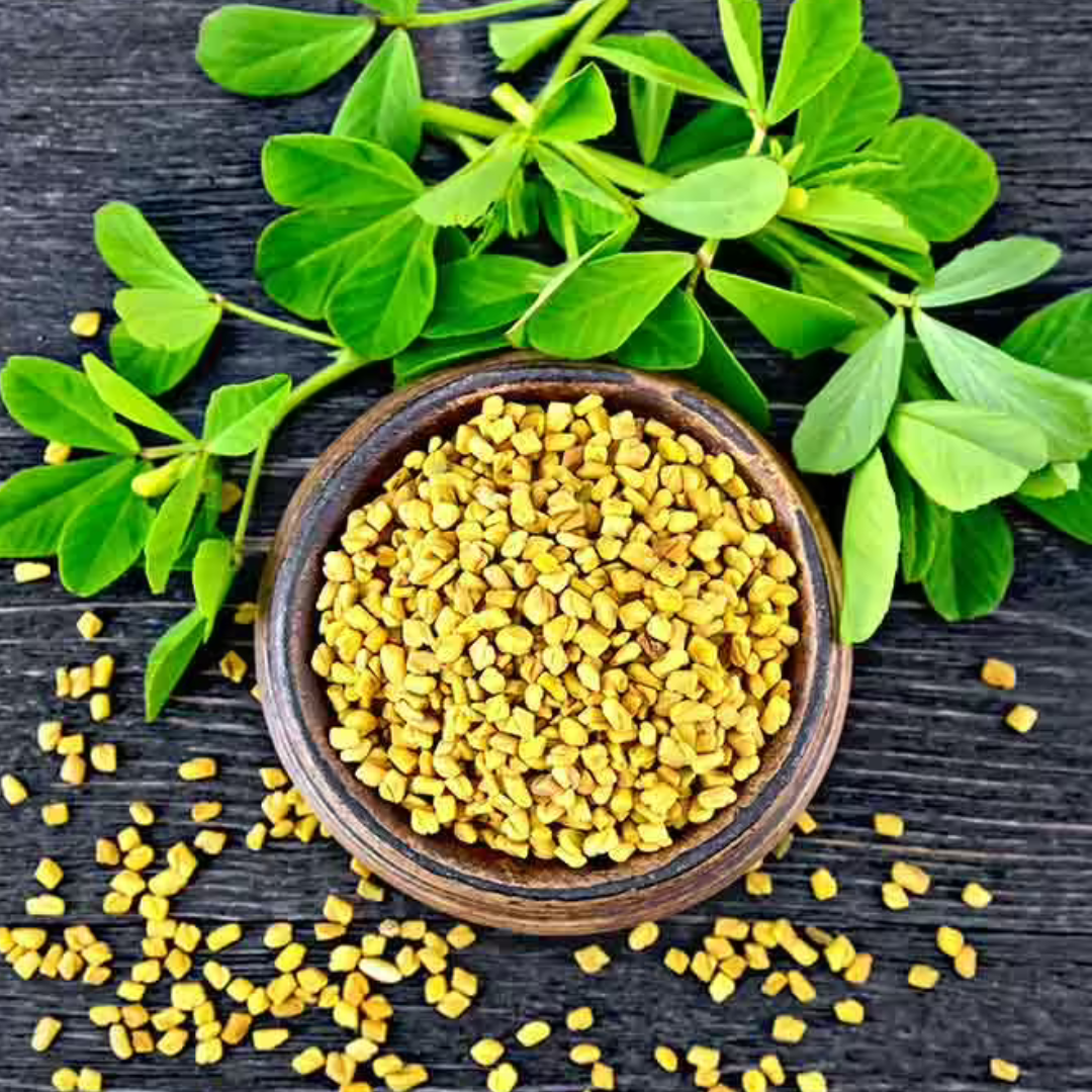 Fresh Methi Dana (Whole) - PakwanMasala