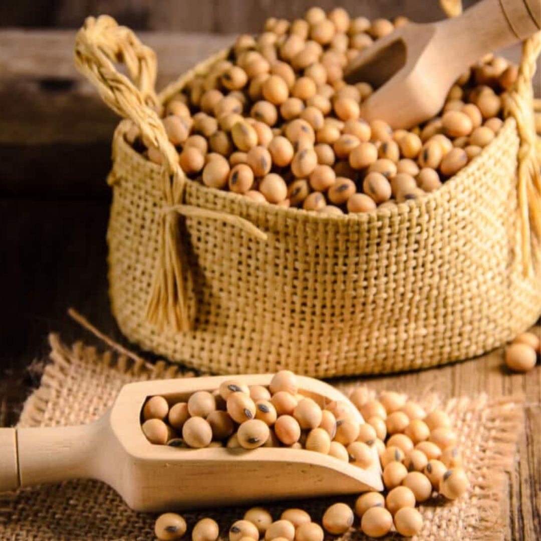 Buy Whole Soya Beans Online - Subhan Bazar